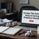 Kenapa Tips Sukses Kerja Ini Sering Diabaikan Pemula
