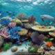 7 Fakta Terbaru Coral Reef Indonesia yang Jarang Diketahui