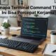 Kenapa Terminal Command Tips Ini Bisa Percepat Kerjamu